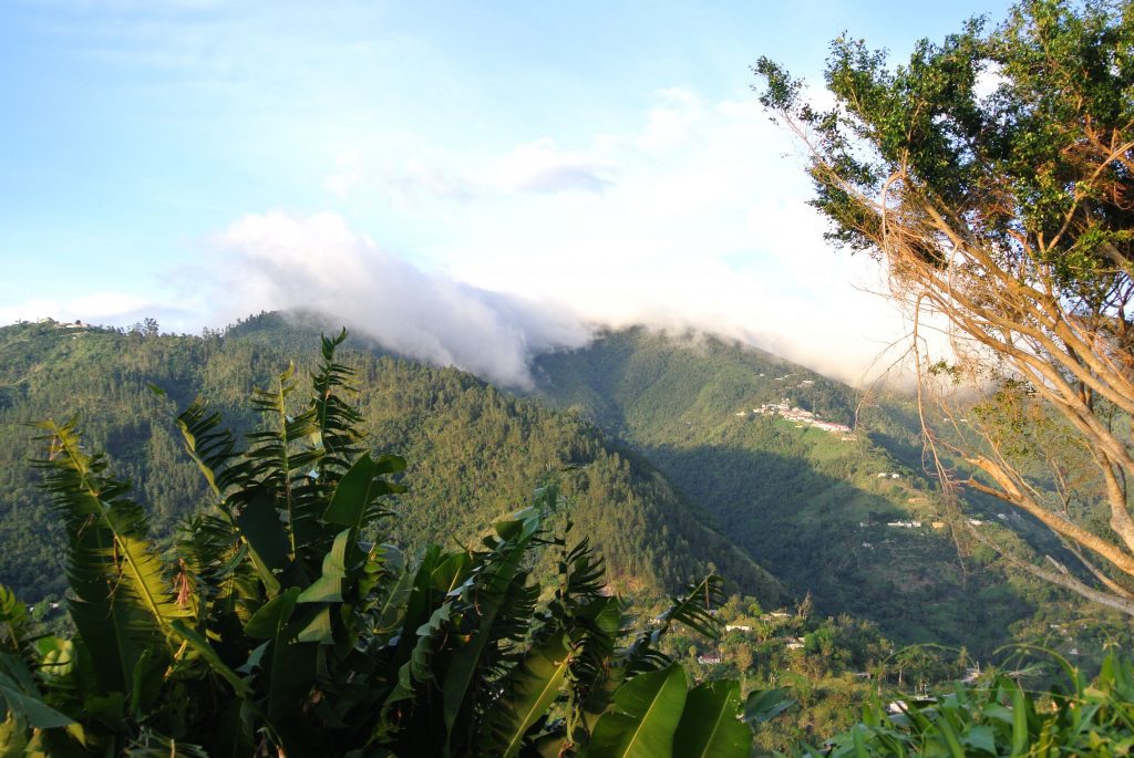 Jamajské hory Blue Mountains. Foto: Hans Van Wamel