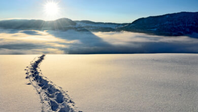 Foto: Switzerland Tourism. swiss-image.ch / Lorenz Andreas Fischer
